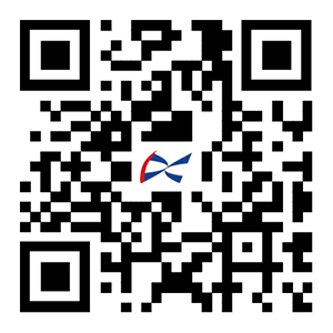 手機(jī)網(wǎng)站